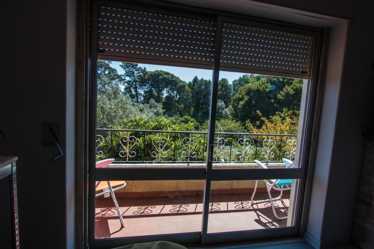 Carvalhos House Villa Sintra Dış mekan fotoğraf
